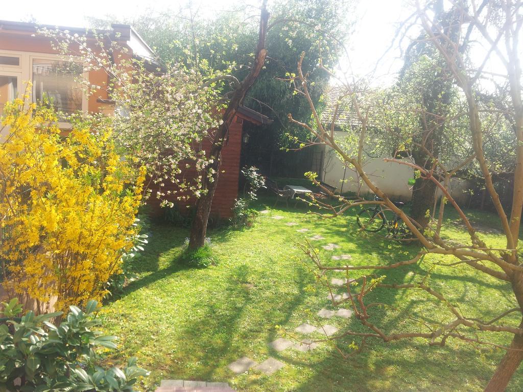 Apartman Maksimir Lux Zagreb-145M2 Kültér fotó